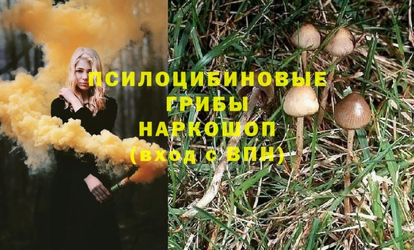 метадон Аркадак