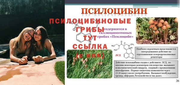 скорость mdpv Армянск