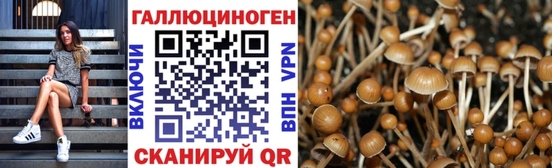 mega ONION  Петропавловск-Камчатский  Галлюциногенные грибы мухоморы  магазин   